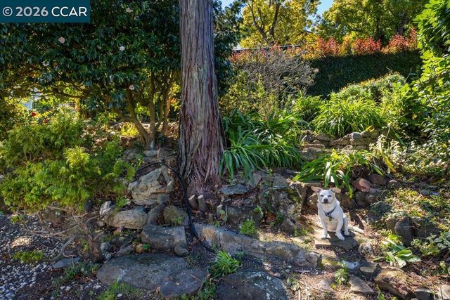 1040 Park Hills Rd, Berkeley, CA 94708