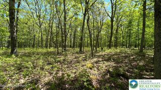 Lot 151 Bear Drive, Pike, PA 18324