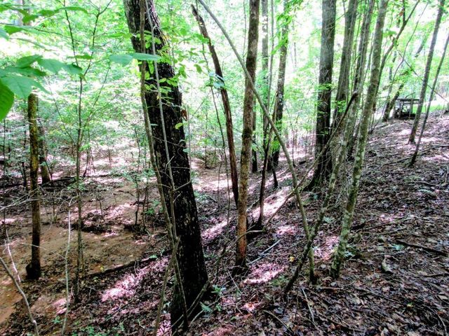 343 Hollybrook Road, Dahlonega, GA 30533
