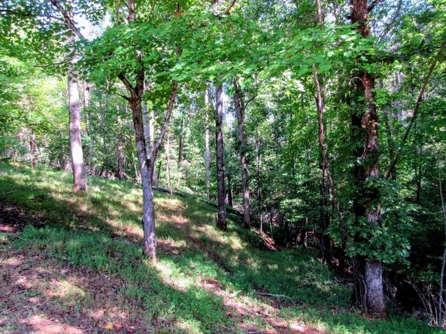 343 Hollybrook Road, Dahlonega, GA 30533