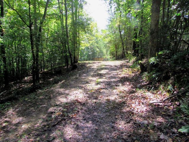 343 Hollybrook Road, Dahlonega, GA 30533