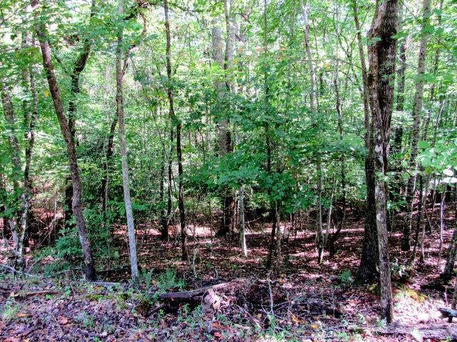 343 Hollybrook Road, Dahlonega, GA 30533