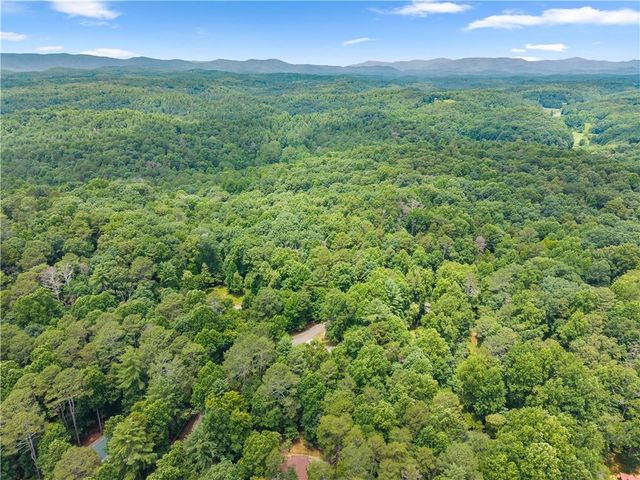 92 Bamby Lane, Ellijay, GA 30540