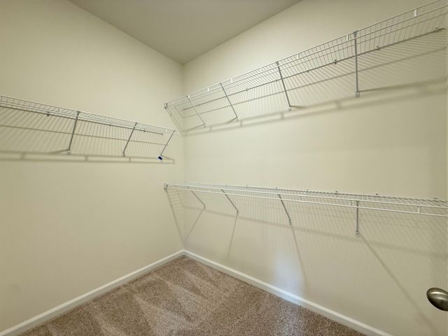 268 Palmetto Sand Loop, Conway, SC 29527