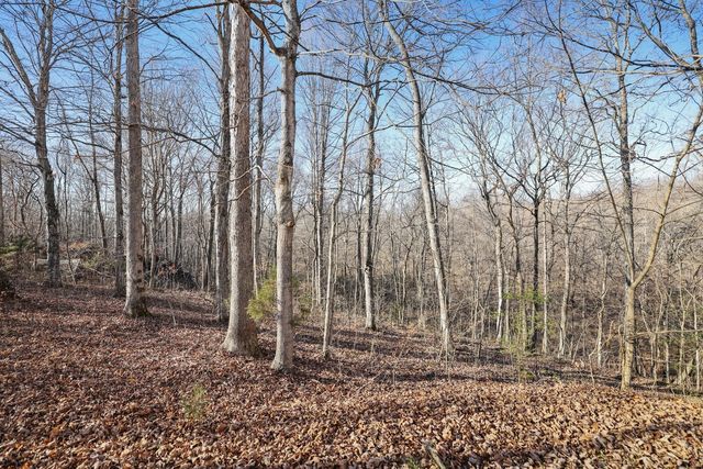 725 Calvert Ridge Rd, Westmoreland, TN 37186