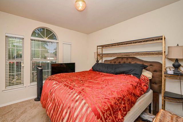 24231 Wild Horse Lane, Hockley, TX 77447