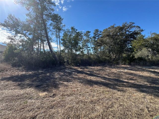 0000 SW 170TH LOOP, Ocala, FL 34473