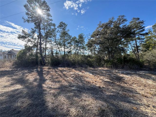 0000 SW 170TH LOOP, Ocala, FL 34473
