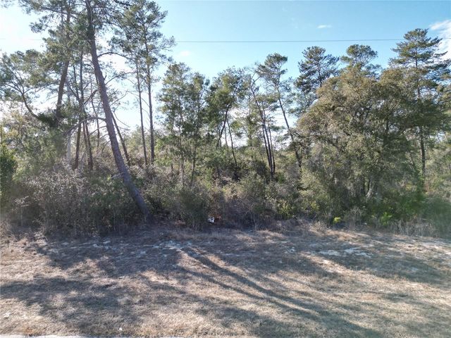 0000 SW 170TH LOOP, Ocala, FL 34473
