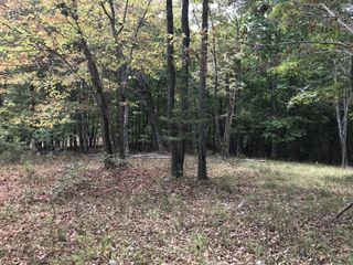 103 Bluffview Drive, Dunlap, TN 37327