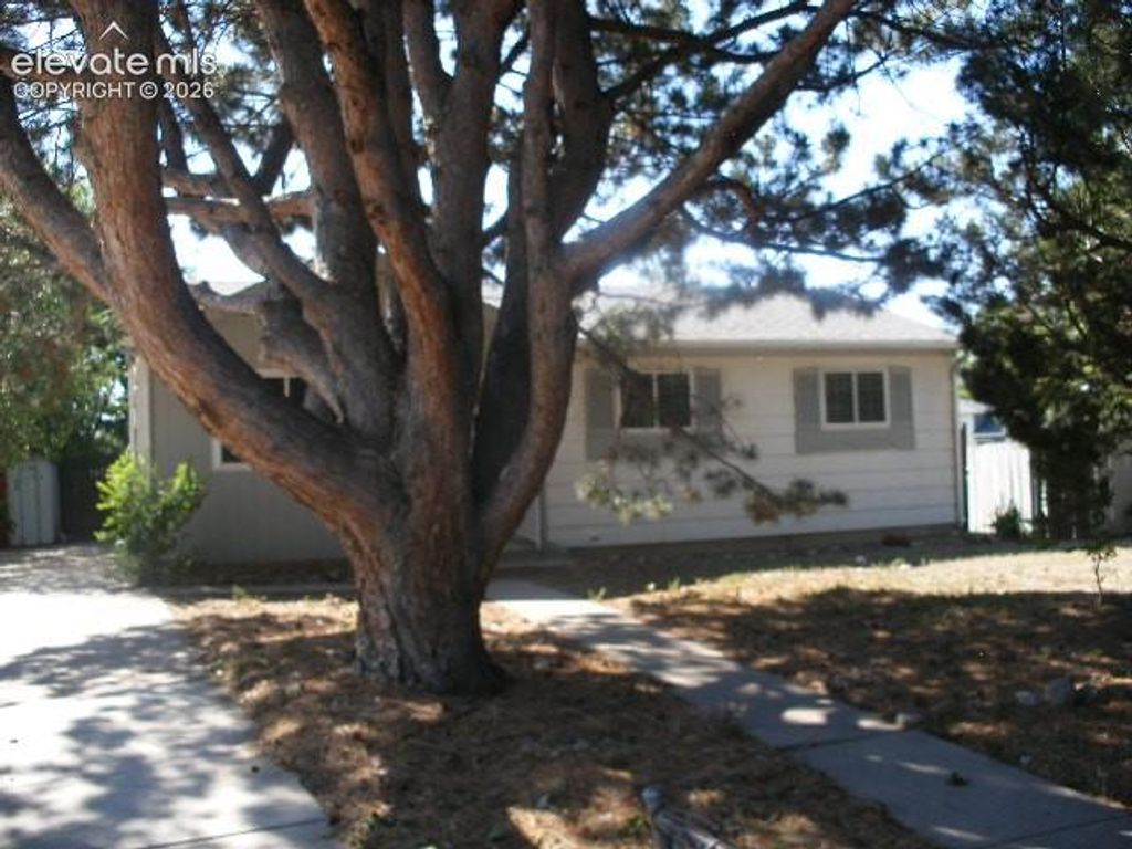 2127 Mt. Werner Place, Colorado Springs, CO 80905 — photo 4