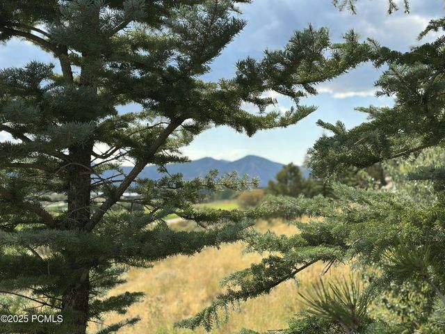 2990 E Primrose Trail, Kamas, UT 84036