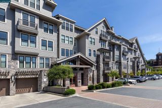 1000 Dewing Ave 115, Lafayette, CA 94549
