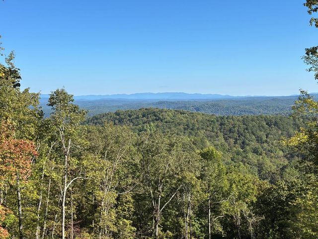 1176 NE Jewel Court, Ranger, GA 30734