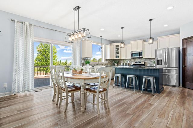 13576 Big Sandy Lake Drive, Rogers, MN 55374