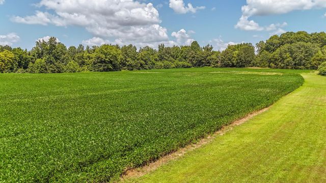 320 RABBIT RANCH RD, Henderson, TN 38340