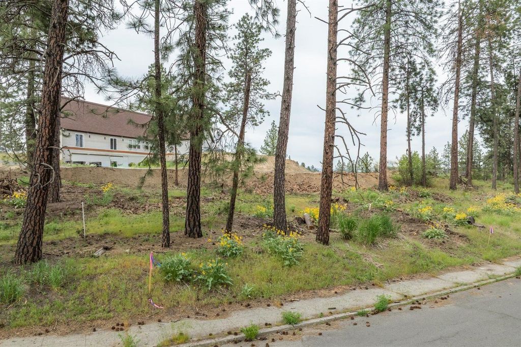 2820 W 13th Ave, Spokane, WA 99224 photo 12