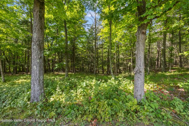 2 Greenfield Court, Chatham, NY 12037