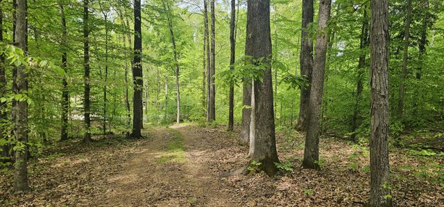 2225 Caney Branch Rd, Stewart, TN 37175