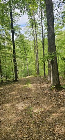 2225 Caney Branch Rd, Stewart, TN 37175
