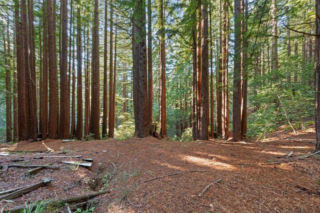 3946 Tunitas Creek Road, Half Moon Bay, CA 94019