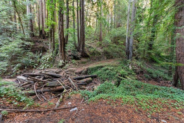 3946 Tunitas Creek Road, Half Moon Bay, CA 94019