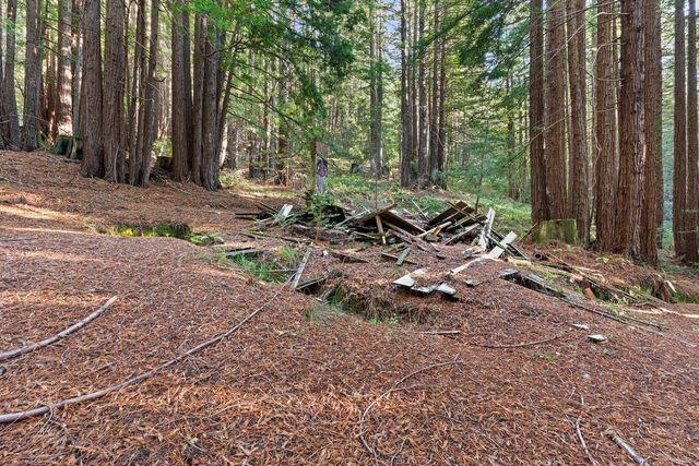 3946 Tunitas Creek Road, Half Moon Bay, CA 94019