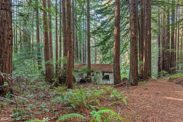 3946 Tunitas Creek Road, Half Moon Bay, CA 94019
