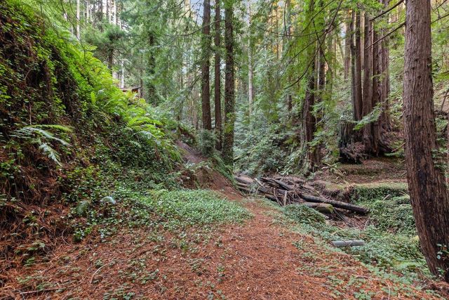 3946 Tunitas Creek Road, Half Moon Bay, CA 94019