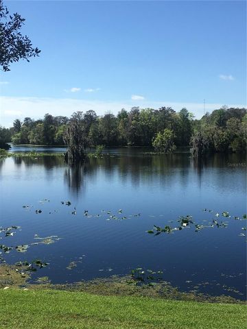 7433 TERRACE RIVER DRIVE, Tampa, FL 33637