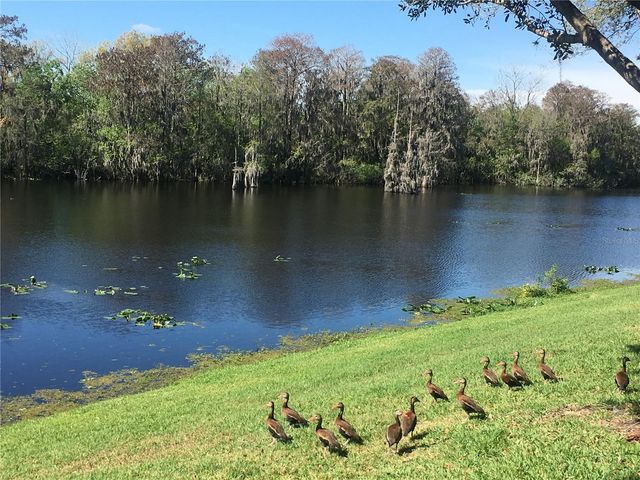 7433 TERRACE RIVER DRIVE, Tampa, FL 33637