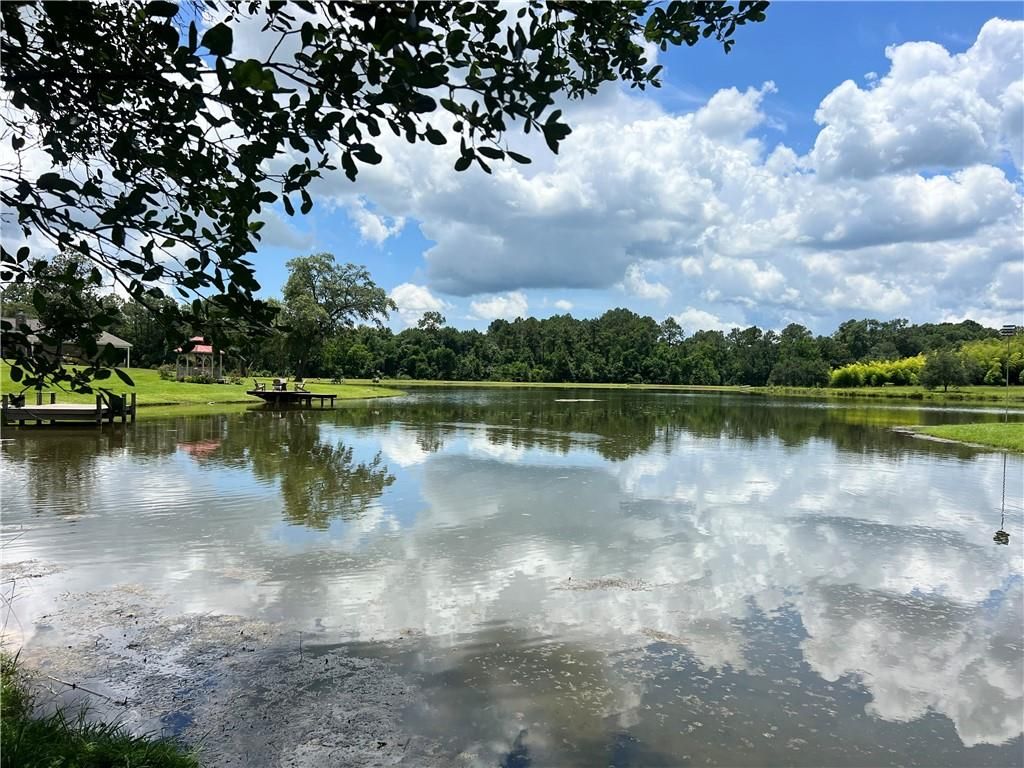 12553 Bell Creek Drive N, Grand Bay, AL 36541