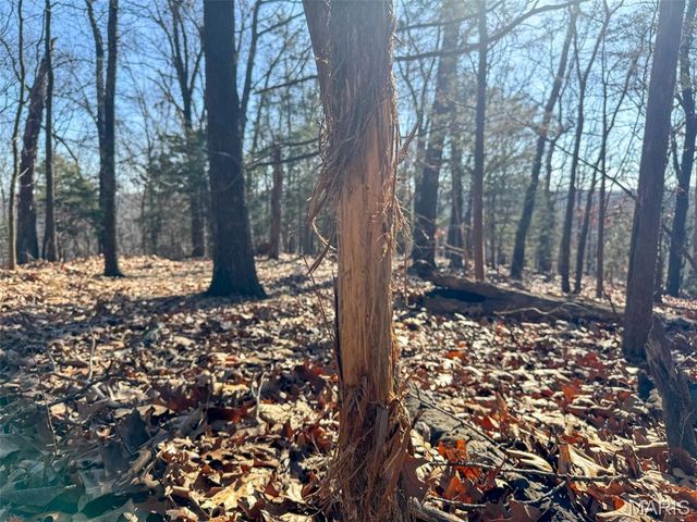 6606 Old Lemay Ferry Road, Imperial, MO 63052