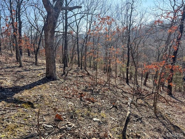 6606 Old Lemay Ferry Road, Imperial, MO 63052