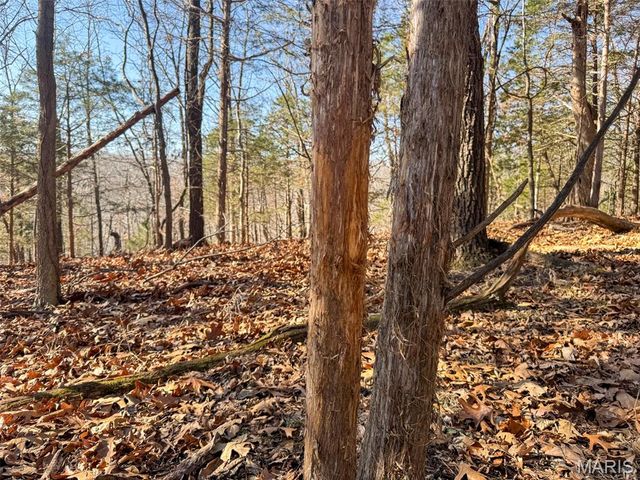 6606 Old Lemay Ferry Road, Imperial, MO 63052