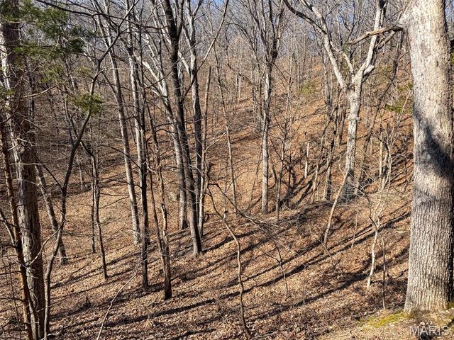 6606 Old Lemay Ferry Road, Imperial, MO 63052