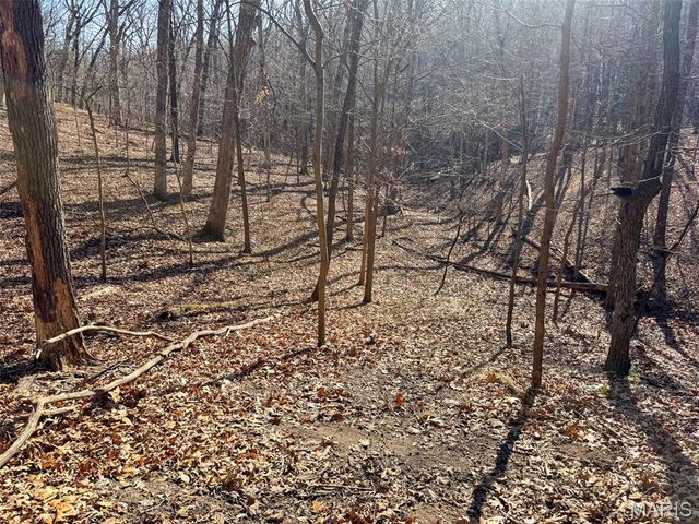 6606 Old Lemay Ferry Road, Imperial, MO 63052