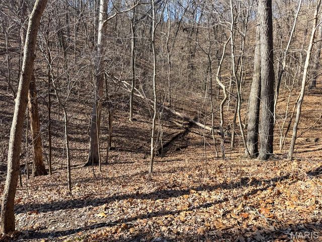 6606 Old Lemay Ferry Road, Imperial, MO 63052