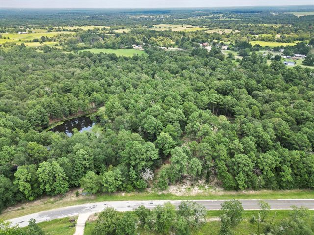 446 Moffett Springs Road, Huntsville, TX 77320