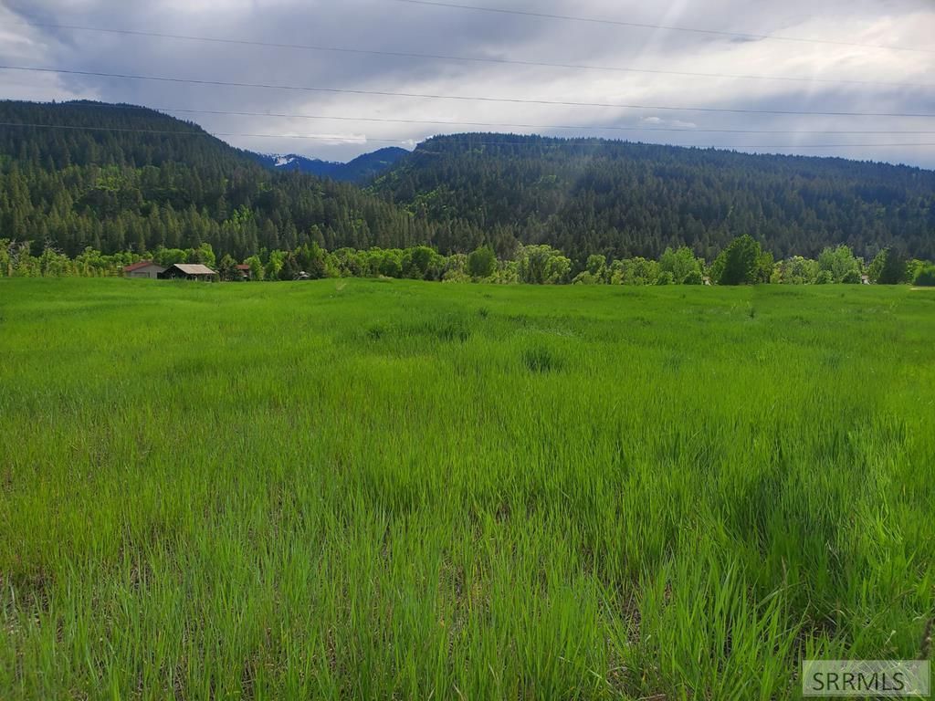 TBD Raven Road, Irwin, ID 83428