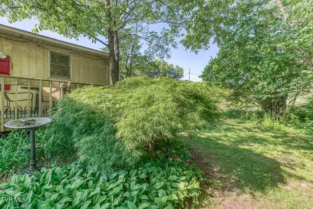 1189 Weaver Branch Road, Bluff City, TN 37618