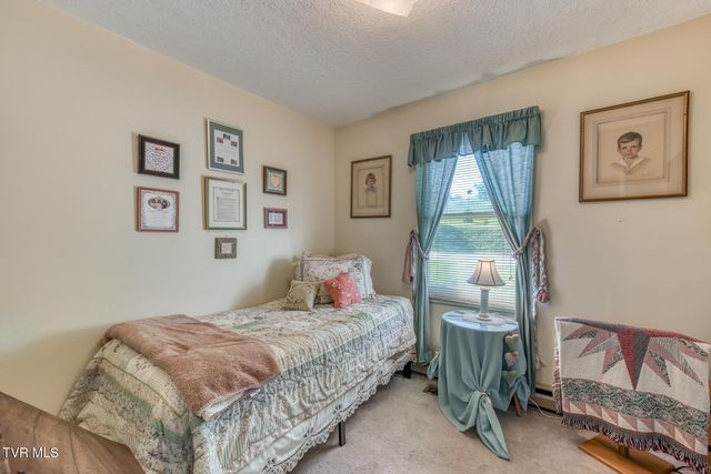 1189 Weaver Branch Road, Bluff City, TN 37618