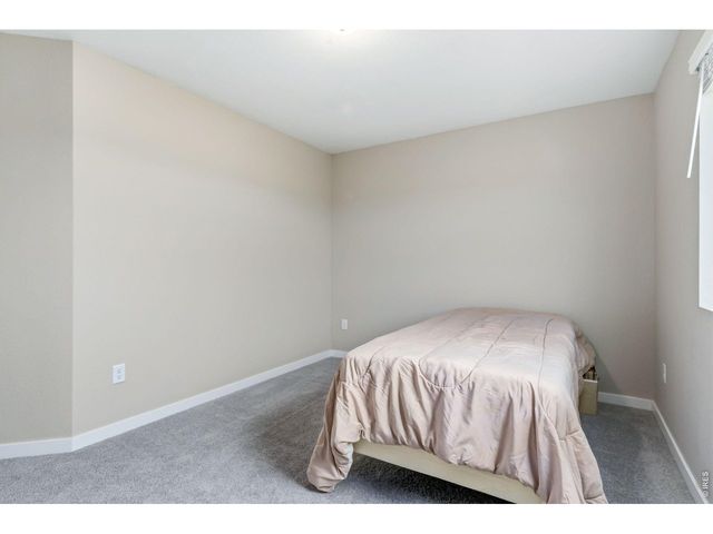 4510 Barrow Ln, Timnath, CO 80547