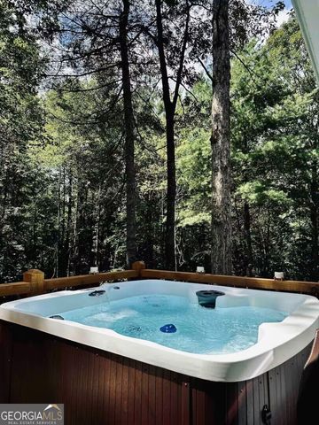 68 Cartecay Trace, Ellijay, GA 30536