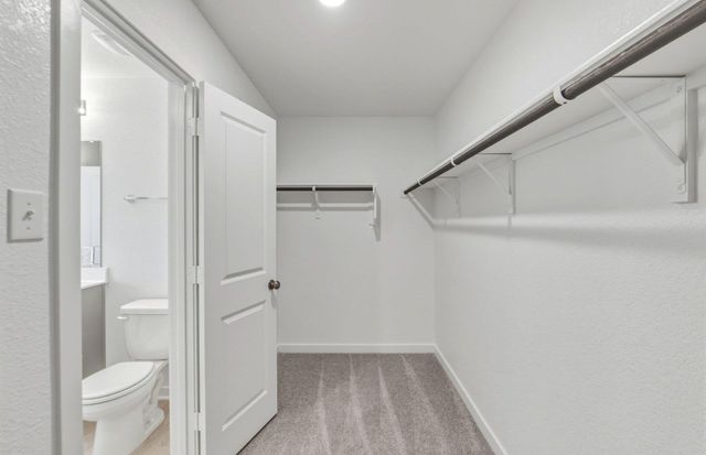 161 Green Berets BND, Jarrell, TX 76537