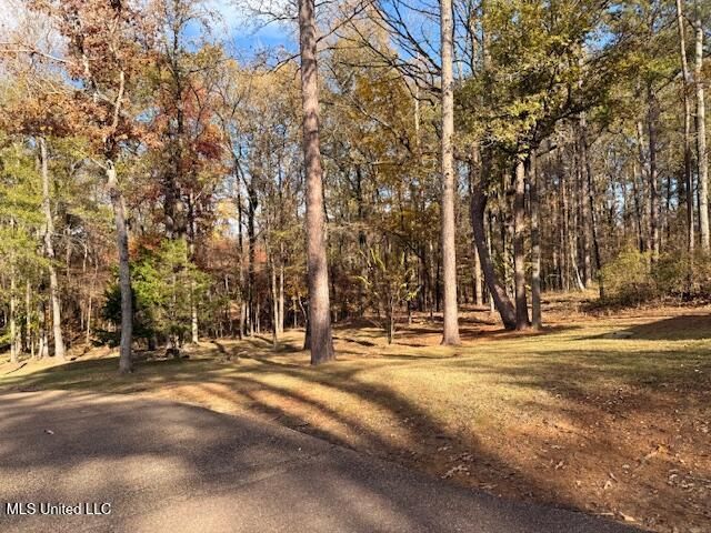 717 Thomas Lane, Madison, MS 39110