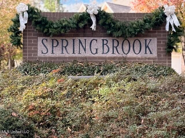 717 Thomas Lane, Madison, MS 39110