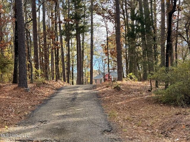 717 Thomas Lane, Madison, MS 39110