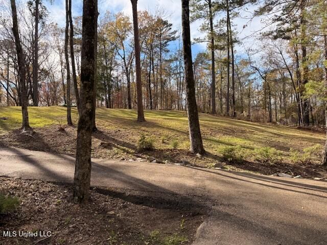 717 Thomas Lane, Madison, MS 39110