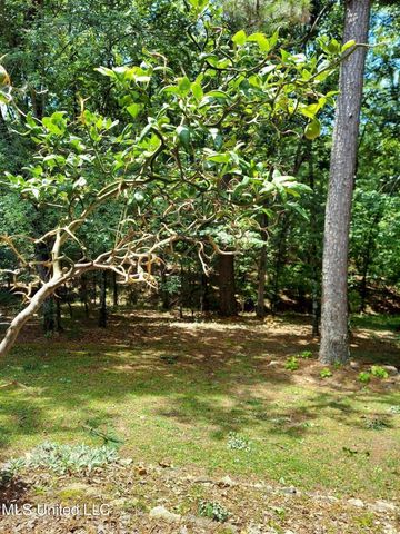 717 Thomas Lane, Madison, MS 39110